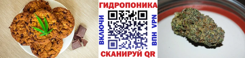 купить наркоту  Микунь  hydra tor  Печенье с ТГК марихуана 