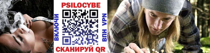 KRAKEN онион  Микунь  Псилоцибиновые грибы мицелий 